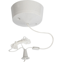 Bathroom light pull switch